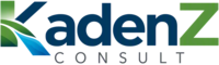 kadenzconsult.nl